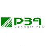 PBA CONSULTING PBA CONSULTING