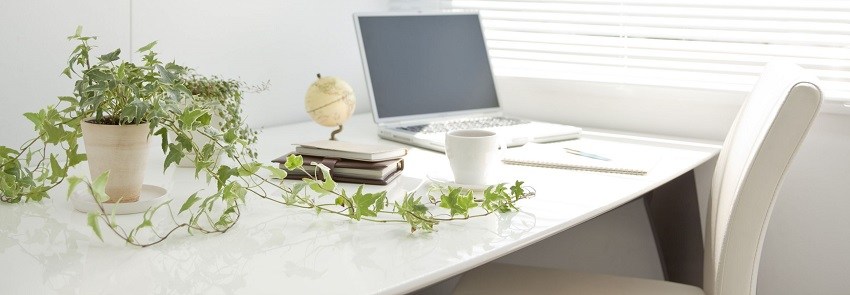 Les plantes de bureau