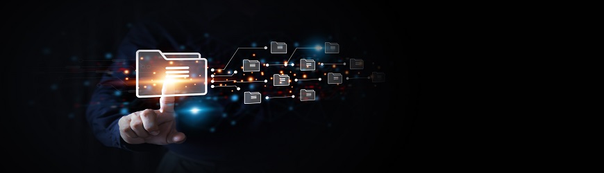 base de données Belgique base de données Belgique