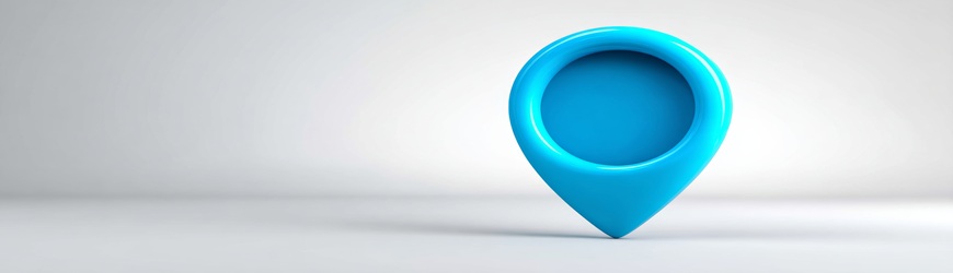 g&eacute;olocalisation v&eacute;hicule