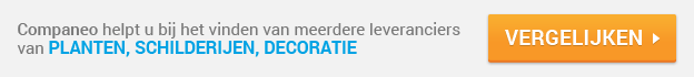 Begin met uw offerteaanvraag Planten, schilderijen, decoratie... ? Companeo : Planten, schilderijen, decoratie... ?: offertes vergelijken